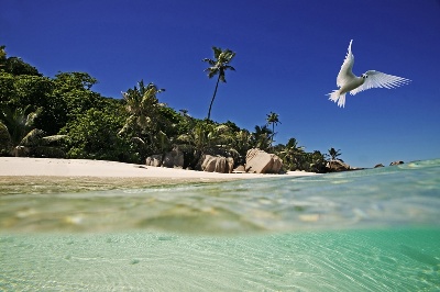 Ostafrika, Seychellen, Cousine Island Resort, Badeurlaub Indischer Ozean