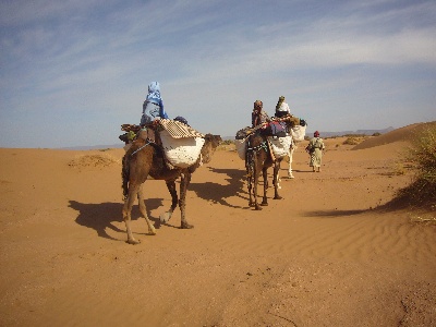 Marokko - Kameltrekking durch die Wüste